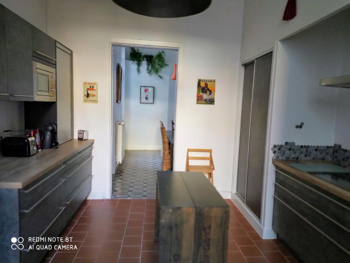 Le Selamat, Logis Xxl Au Calme Avec Terrasse Carcassonne Exteriör bild